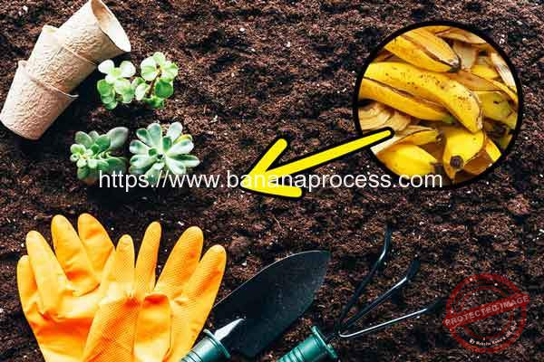 Banana-Peel-Easy-Composting